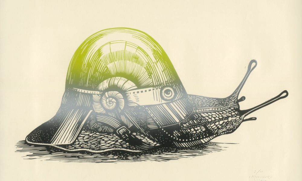 Grafikbiennale | Museum für Druckkunst Leipzig