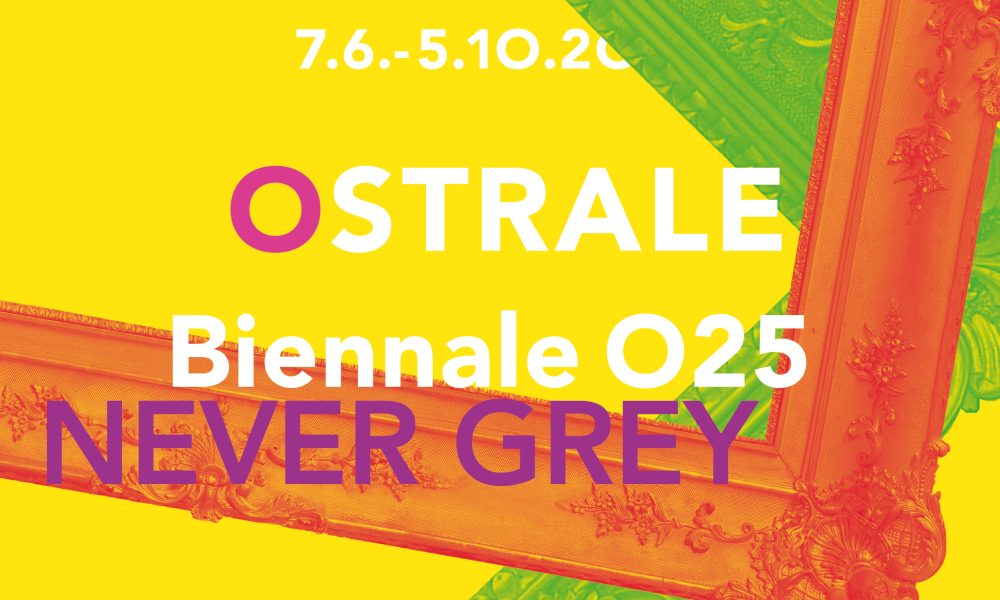 Noch ein Monat NEVER GREY | Veranstaltungen und Rundgänge