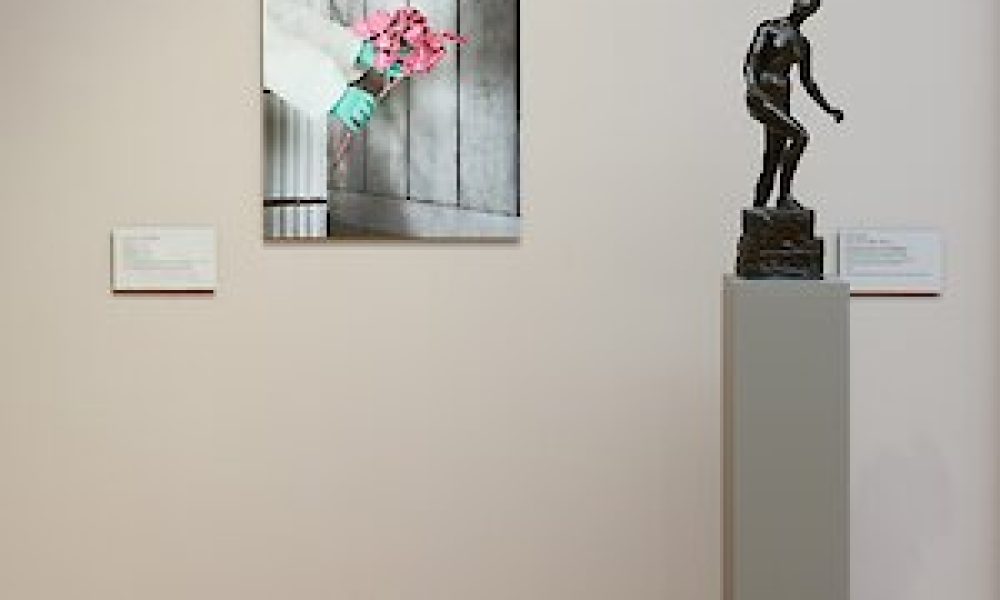 MdbK, Museum der bildenden Künste Leipzig, Katharina Schreiter, "Membran"