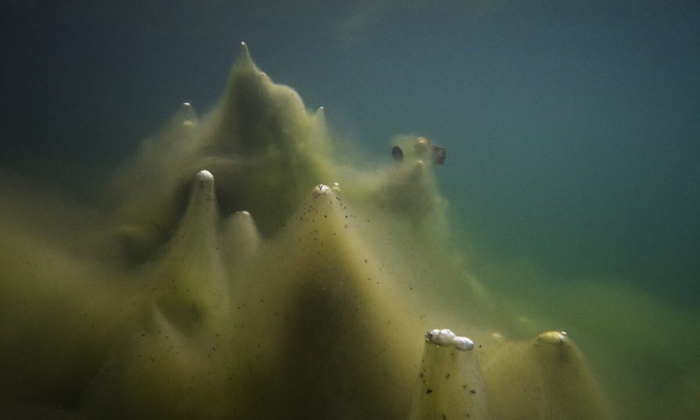 Über Land | Museum der bildenden Künste Leipzig